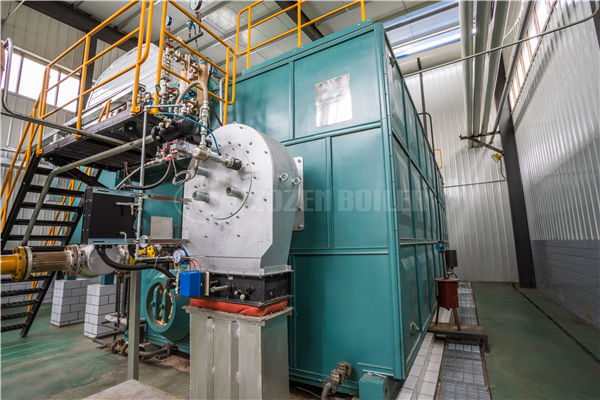 德州燃?xì)忮仩t