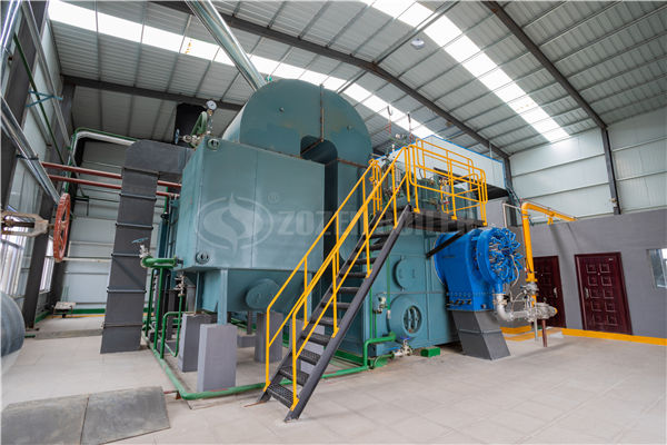 新能源秸稈料鍋爐多少錢