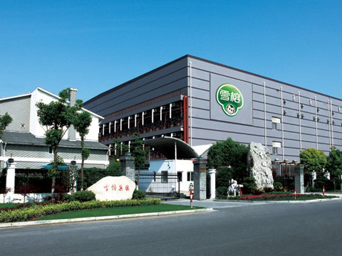 10噸、8噸 DZL 生物質(zhì)鍋爐