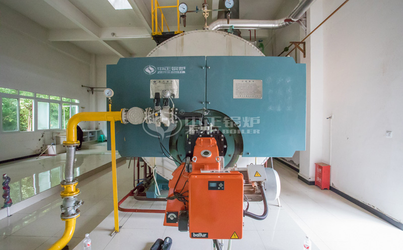 5.6MW熱水鍋爐客戶(hù)案例圖片